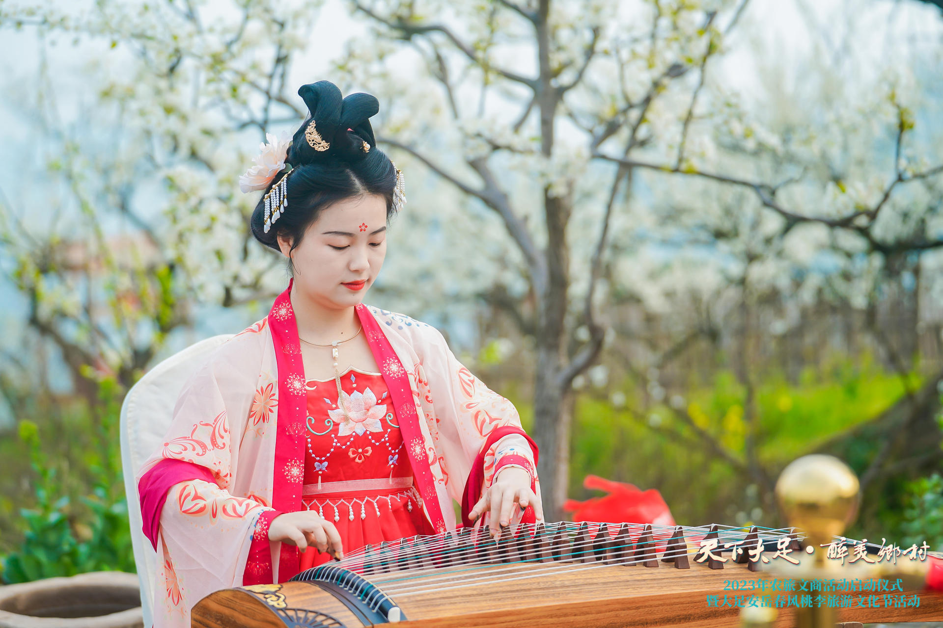 2023李花5.jpg